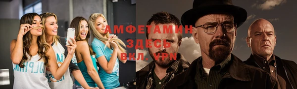 a pvp Аркадак